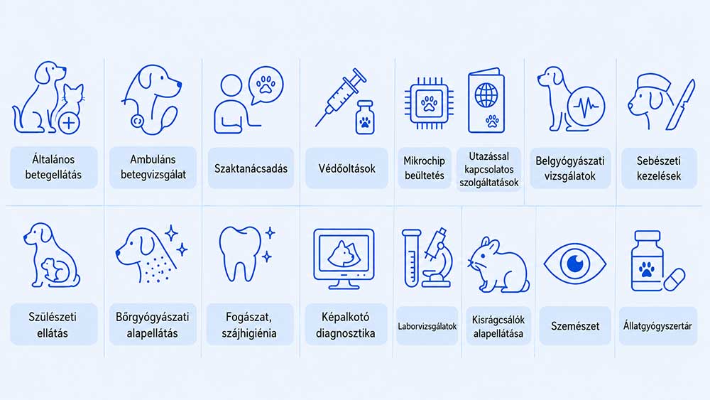 Szolgáltatások